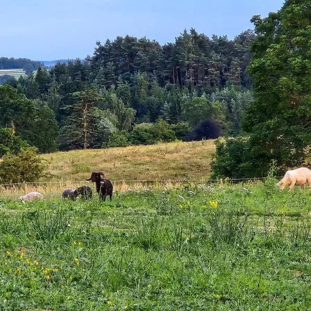 Langriggs At Wetheral Lejlighed *